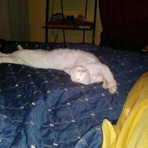 Meet your Posher, James